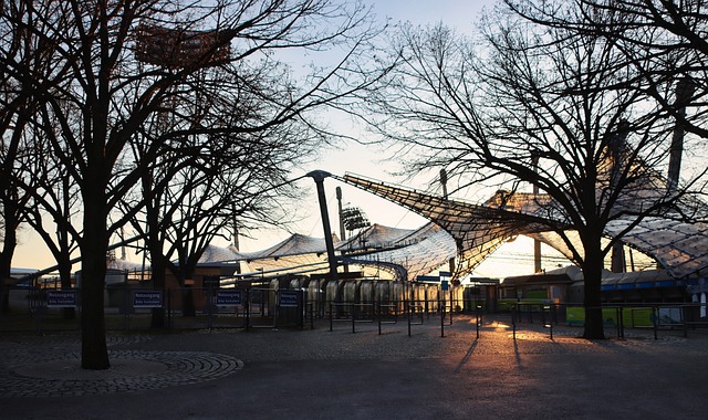 他短跑运动 他短跑运动