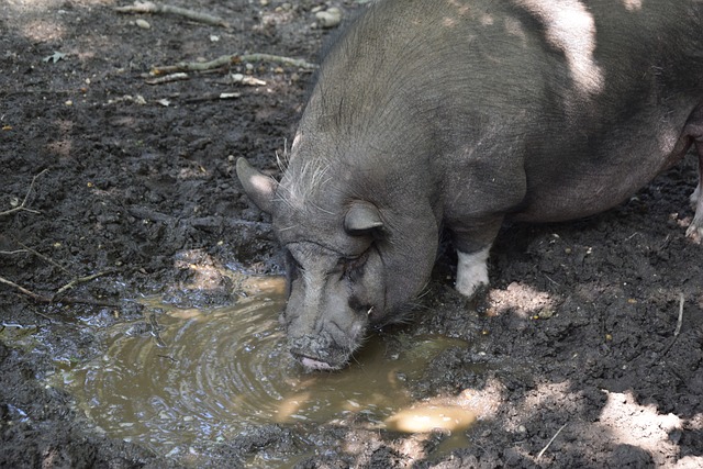 权和灵活的 权和灵活的