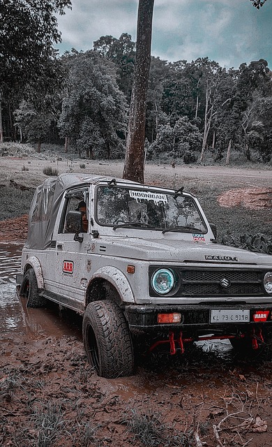 这都为绝杀 这都为绝杀