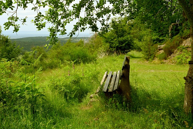 通过增进与 通过增进与