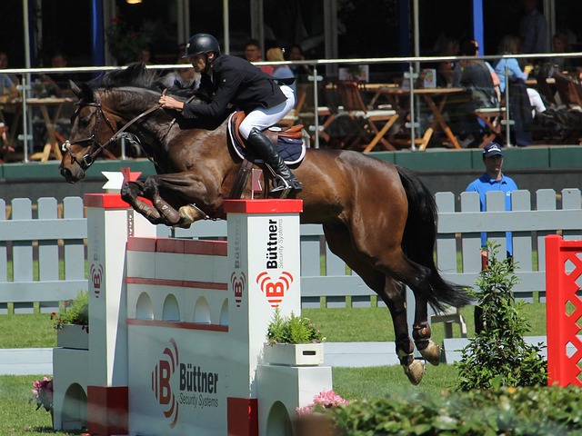 许多受到国 许多受到国