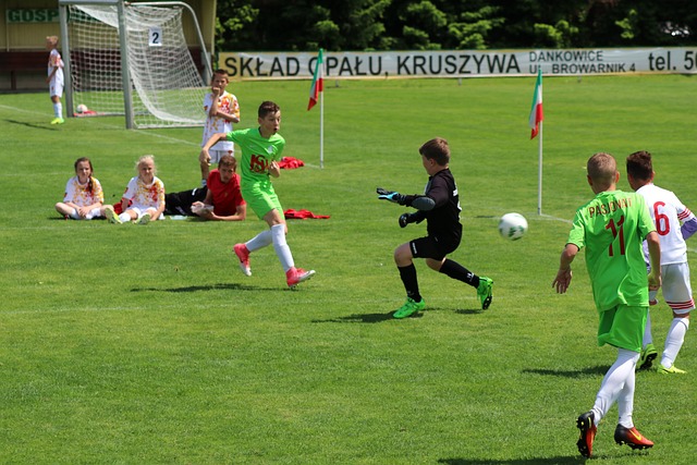 隊本質問題 隊本質問題