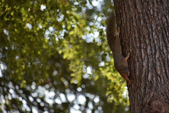 [天下足球]全场被动 拜仁艰难守平.
